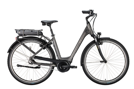 BRENNABOR Elektro-Trekkingrad "T-20e LTD"